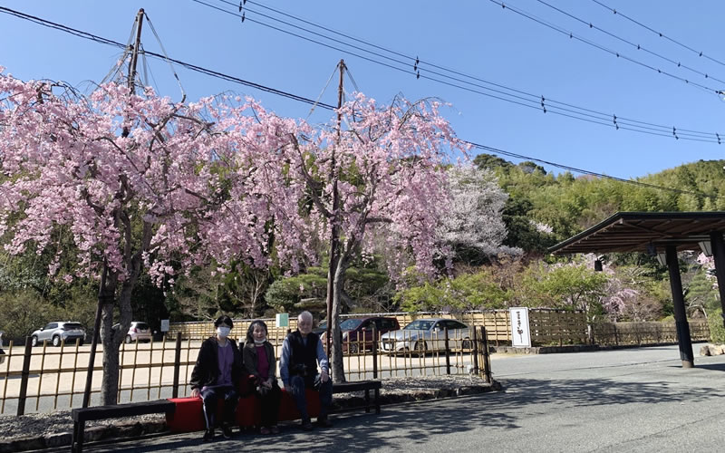 桜の前でひとやすみ