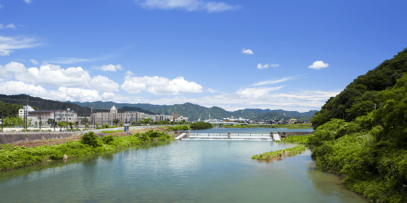 太美ホームの周辺の風景